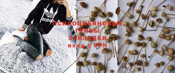 молекула духа Вязники