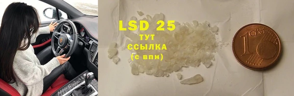 индика Вязьма