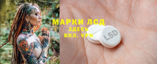 альфа пвп Снежногорск